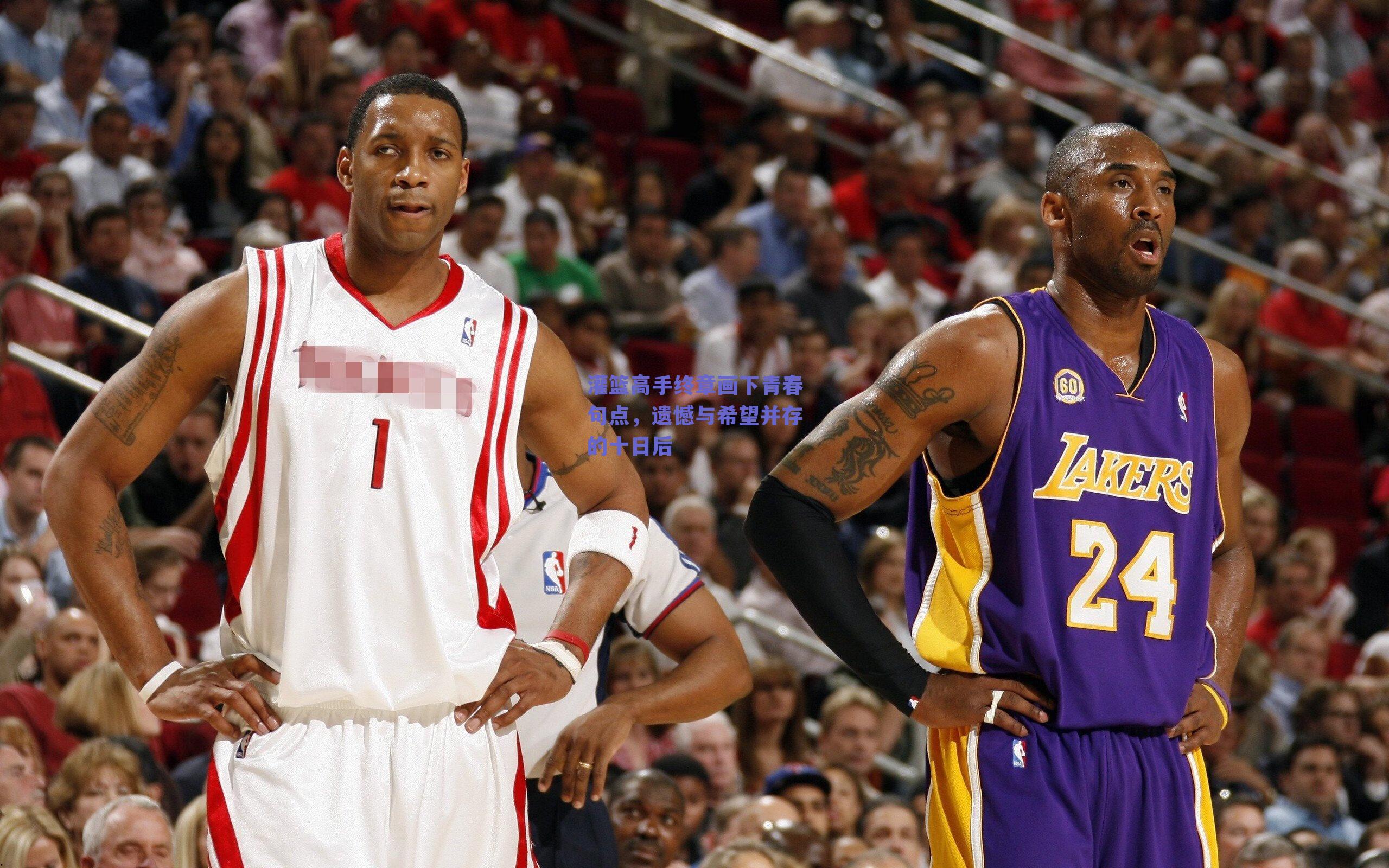 灌篮高手终章画下青春句点，遗憾与希望并存的十日后