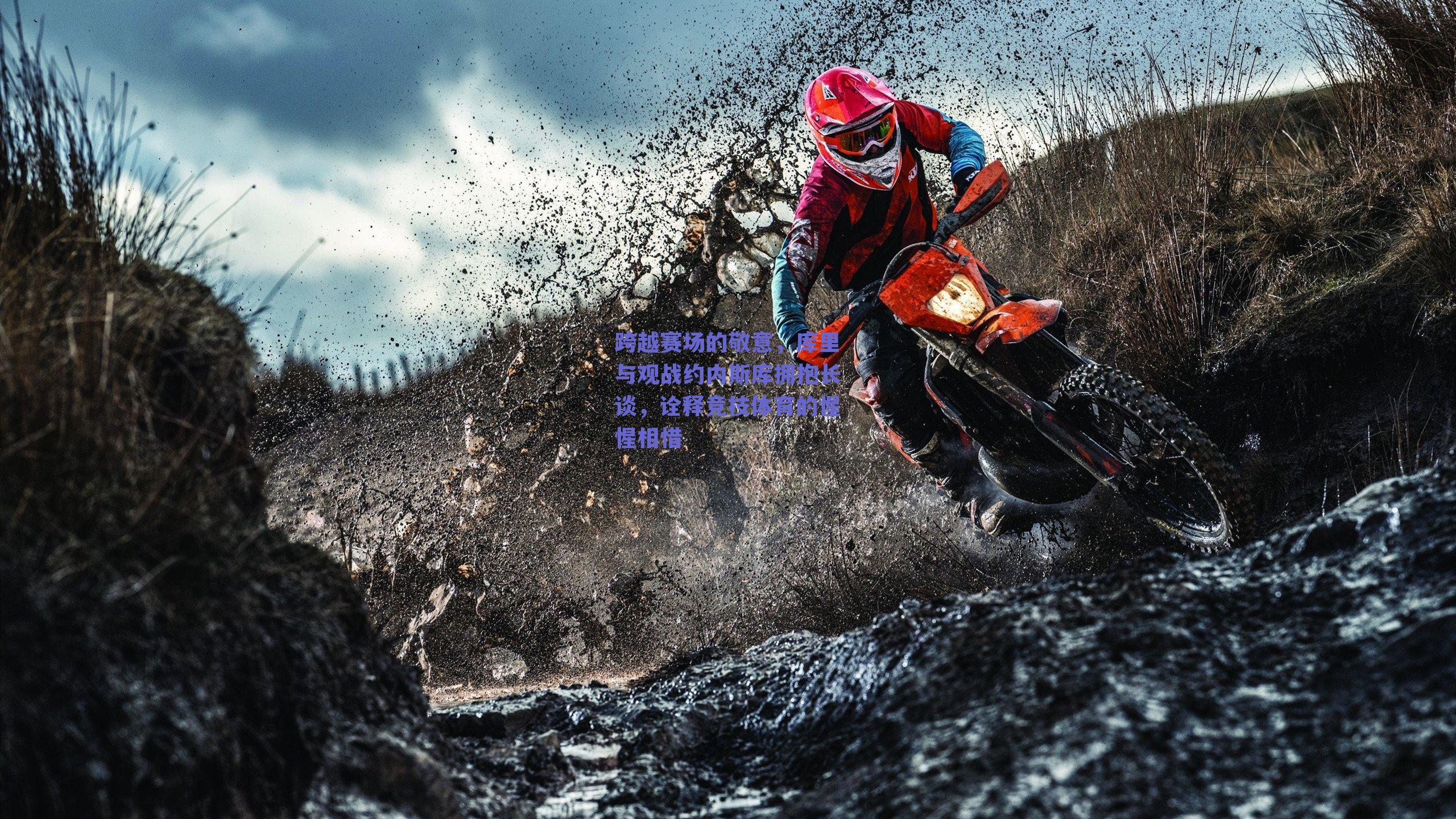 跨越赛场的敬意，库里与观战约内斯库拥抱长谈，诠释竞技体育的惺惺相惜