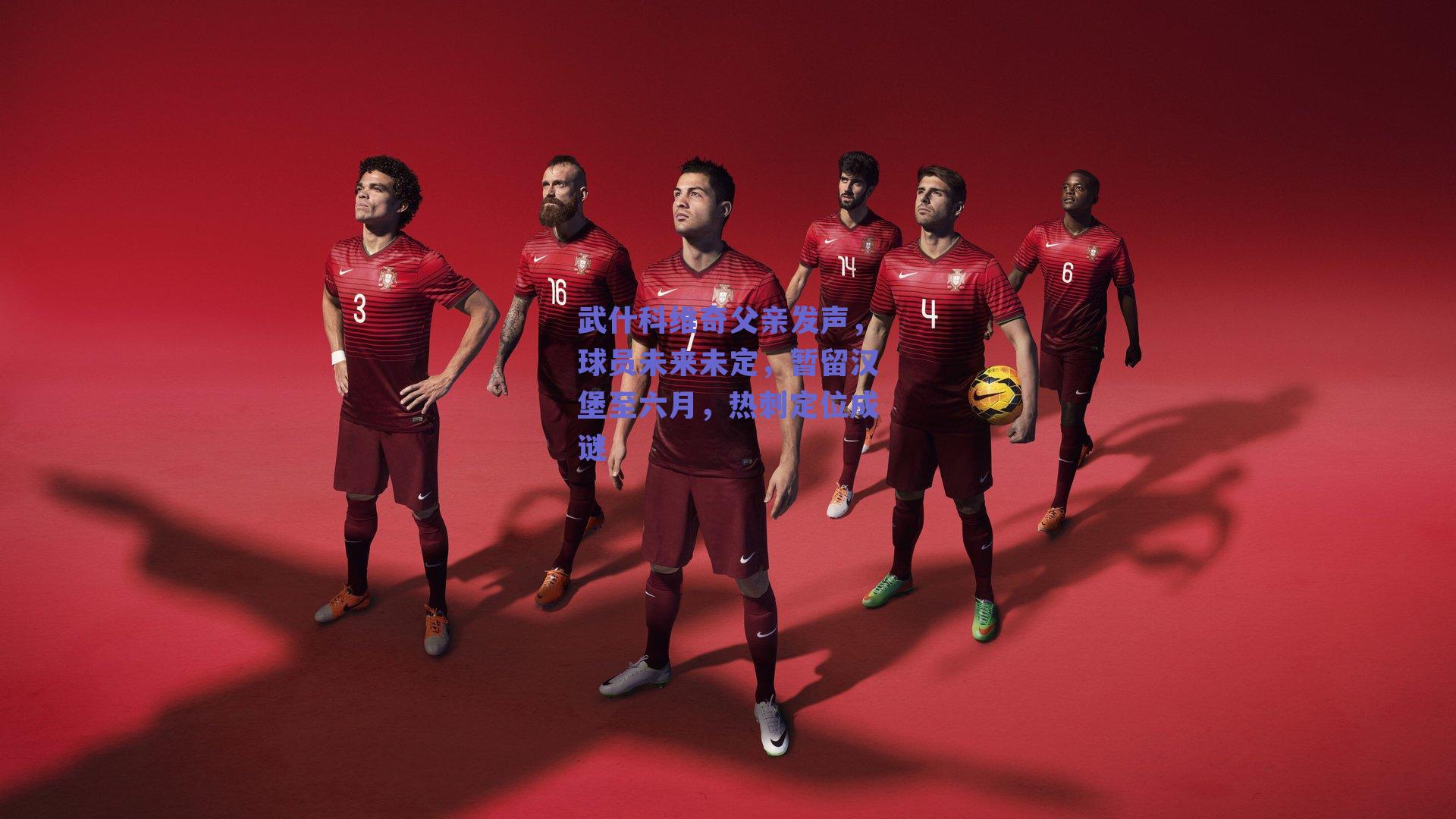 武什科维奇父亲发声，球员未来未定，暂留汉堡至六月，热刺定位成谜