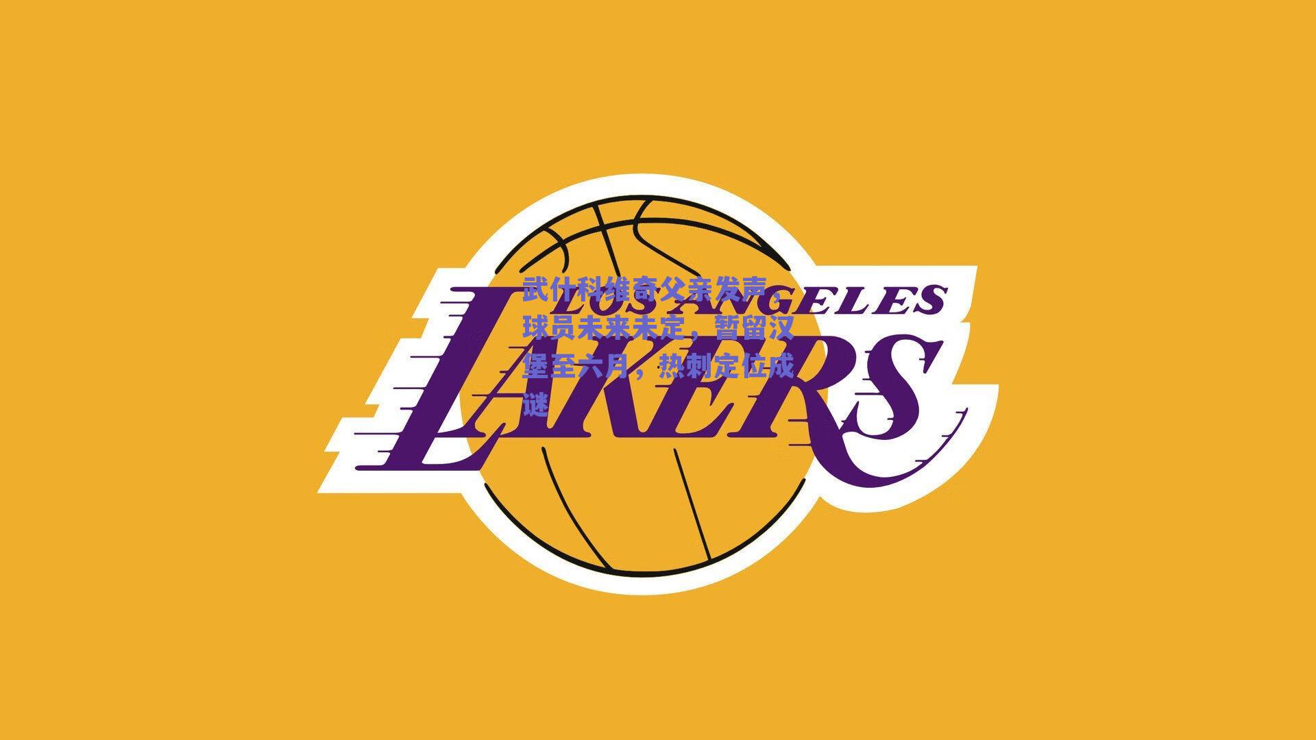 武什科维奇父亲发声,球员未来未定,暂留汉堡至六月,热刺定位成谜